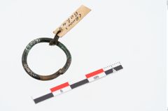 Foto von Bronzering (NHMW-PRAE-024709)